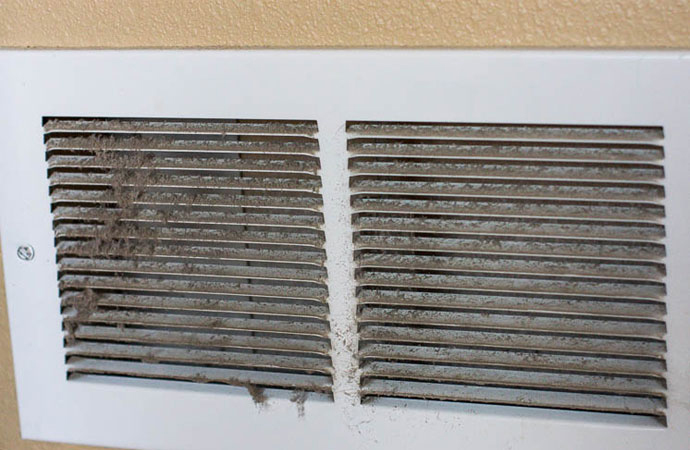 pet hair stuck in the air duct
