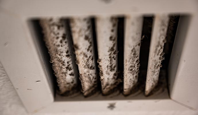 mold in the air duct 